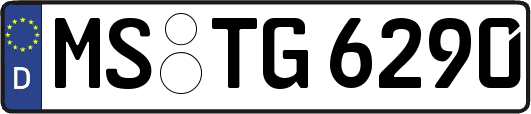 MS-TG6290