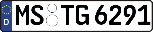 MS-TG6291