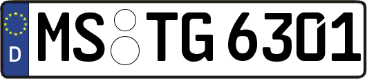 MS-TG6301