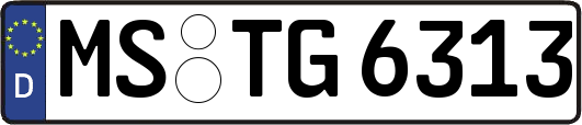 MS-TG6313