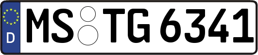 MS-TG6341