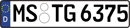 MS-TG6375