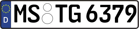 MS-TG6379