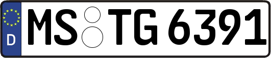 MS-TG6391