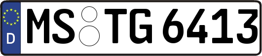 MS-TG6413