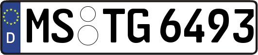 MS-TG6493
