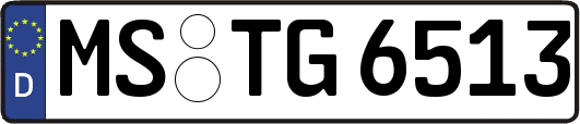 MS-TG6513