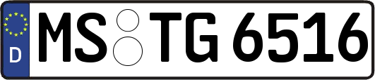 MS-TG6516