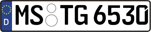 MS-TG6530
