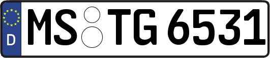 MS-TG6531