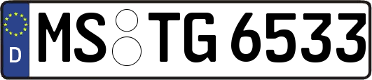 MS-TG6533