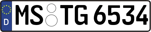 MS-TG6534