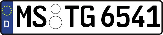 MS-TG6541