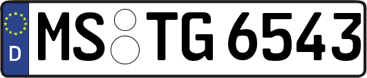 MS-TG6543