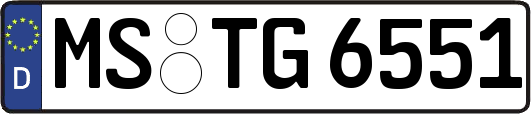 MS-TG6551