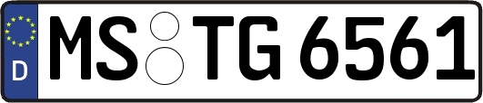 MS-TG6561