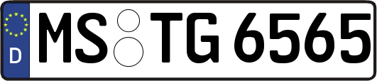 MS-TG6565