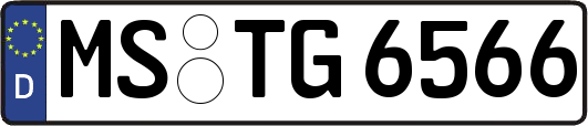 MS-TG6566