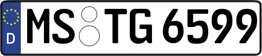 MS-TG6599