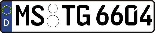 MS-TG6604
