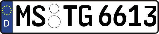 MS-TG6613