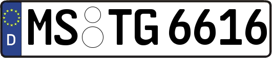 MS-TG6616