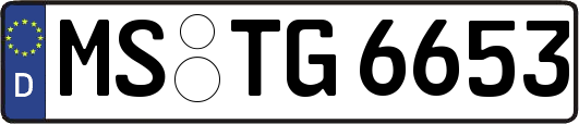 MS-TG6653