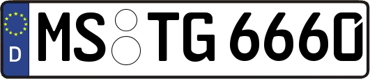 MS-TG6660