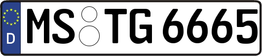 MS-TG6665