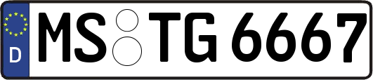 MS-TG6667