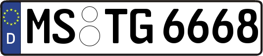 MS-TG6668