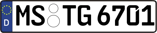 MS-TG6701