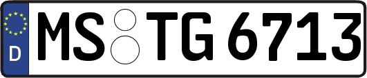MS-TG6713