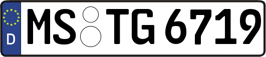MS-TG6719