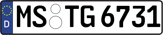MS-TG6731