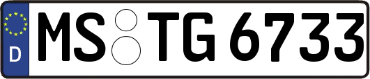 MS-TG6733