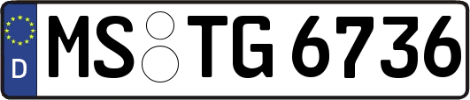 MS-TG6736