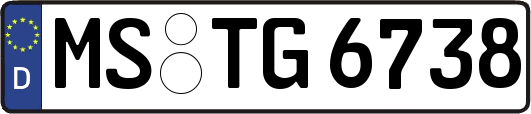 MS-TG6738