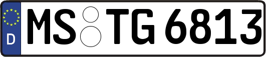 MS-TG6813