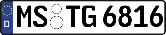 MS-TG6816