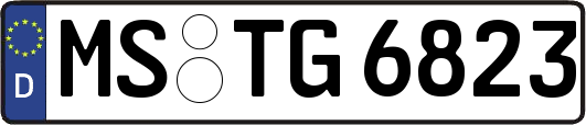 MS-TG6823