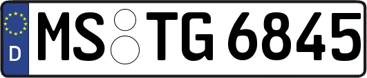 MS-TG6845