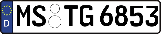 MS-TG6853