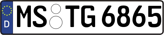 MS-TG6865