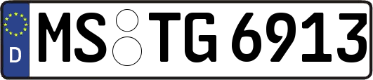 MS-TG6913