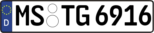 MS-TG6916