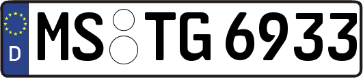 MS-TG6933