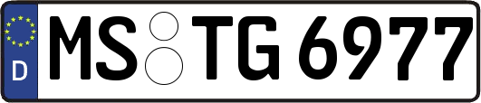 MS-TG6977