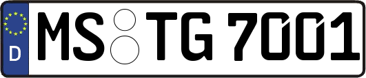 MS-TG7001