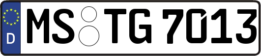 MS-TG7013